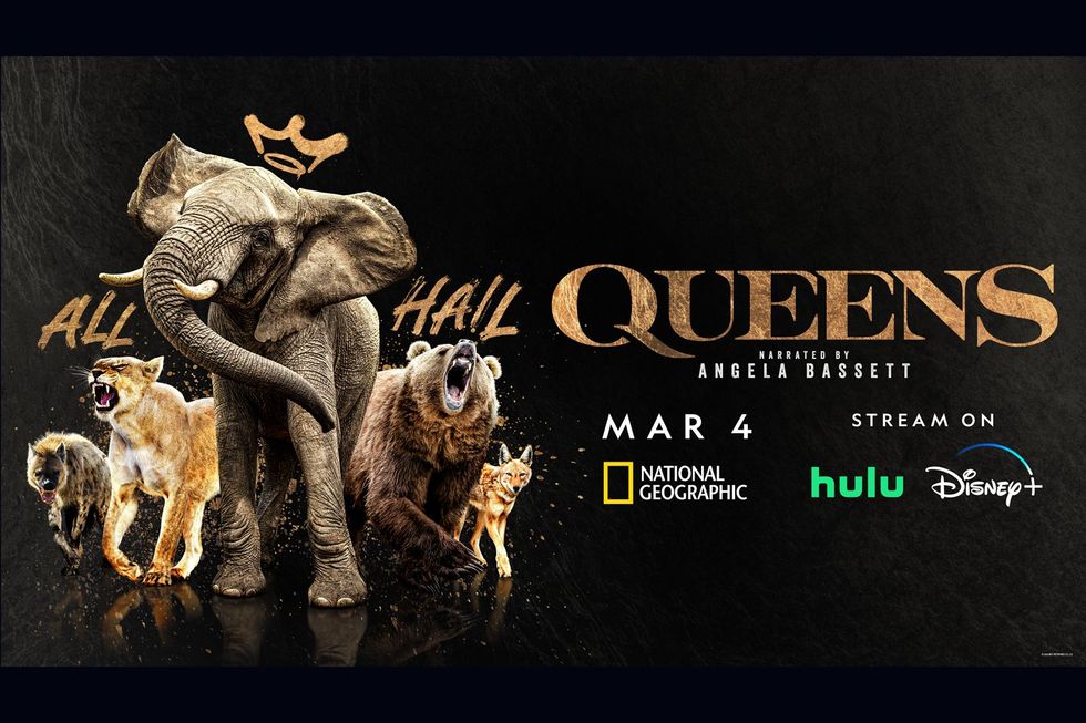 A promotional poster for Queens, preimiering March 4 on National Geographic, Hulu and Disney+.