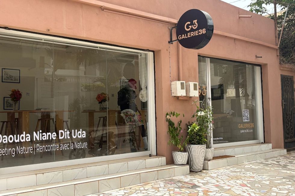 A salmon colored exterior of a gallery with a sign saying Galerie36