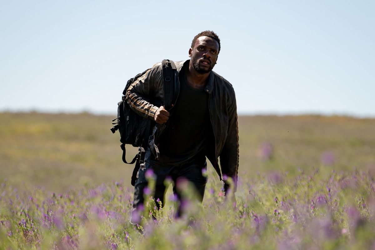A still from “Heart Of the Hunter" showing a character walking through a field of purple flowers with a backpack. 