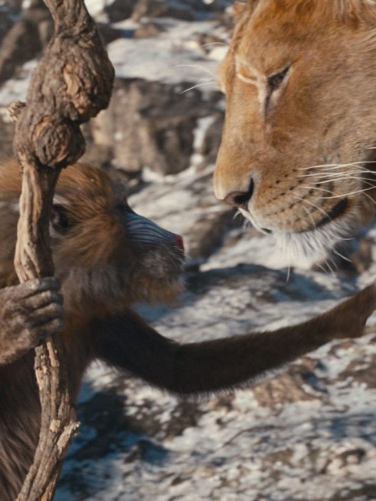 A still from the upcoming live-action Disney film ‘Mufasa: The Lion King.’ 