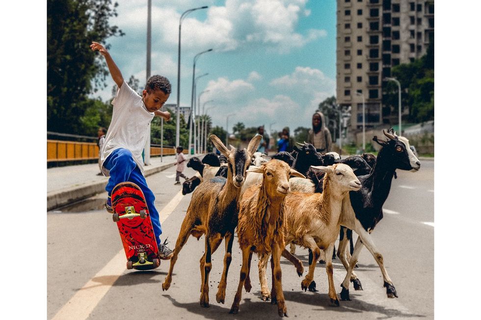 A young boy jumps a skateboard in the street near some goats. 