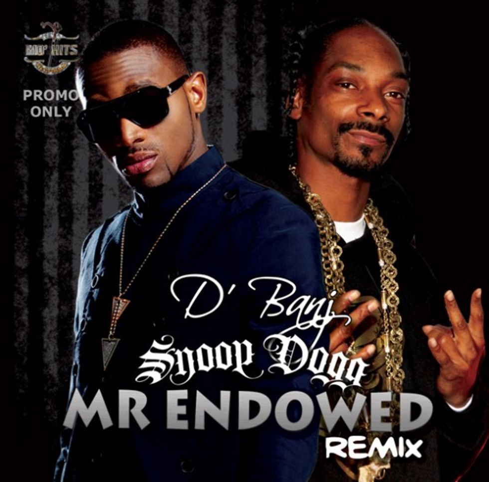Video: D'Banj Featuring Snoop Dogg 'Mr. Endowed Remix'