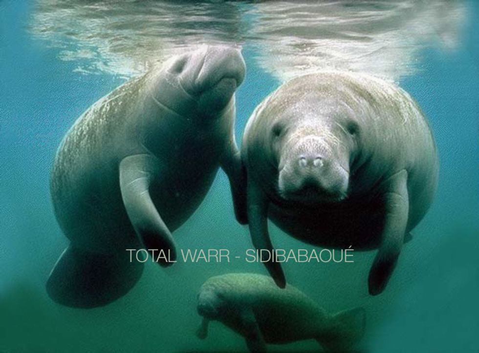 Tracka de Day: Total Warr "Sidibabaoué"