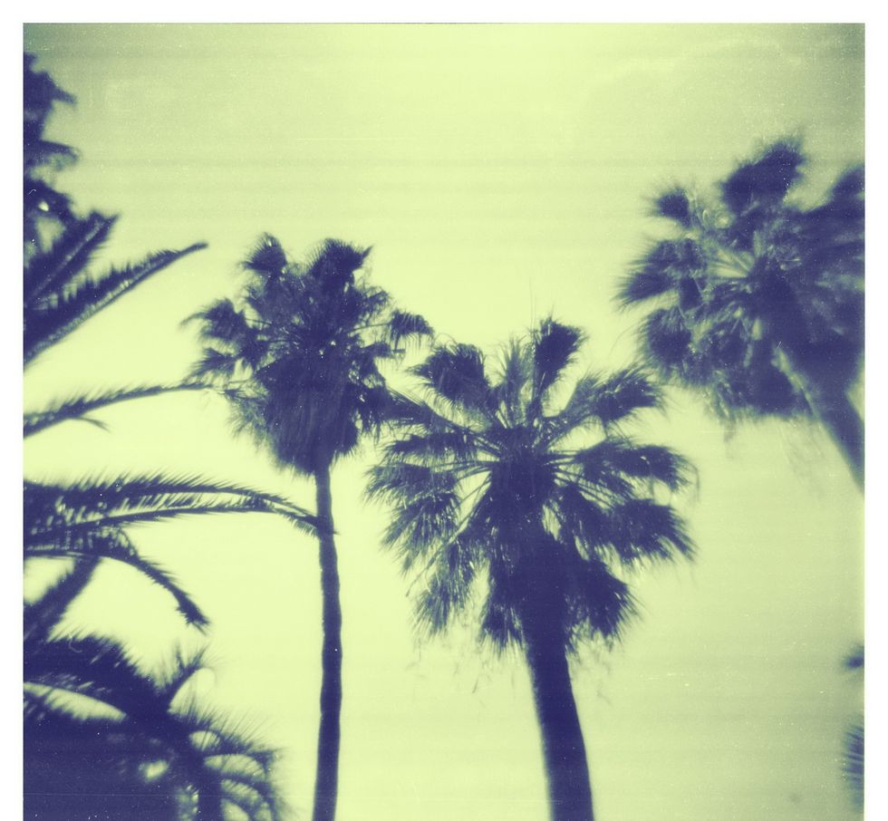 Audio: Palm City Social Mixtape