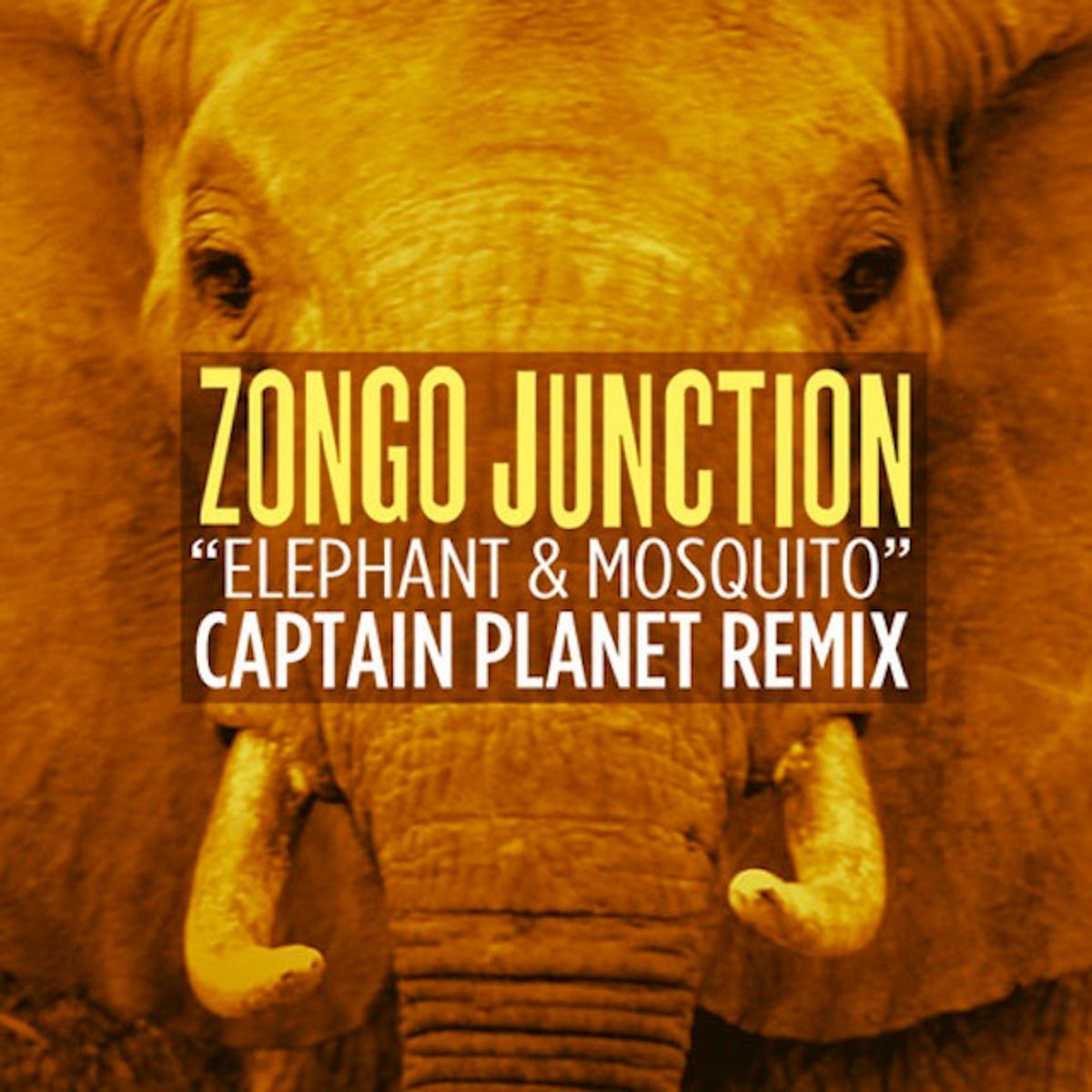 Zongo Junction 'Elephant & Mosquito' (Captain Planet Remix)