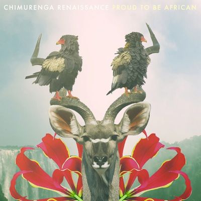 Chimurenga Renaissance 'The B.A.D Is So Good'