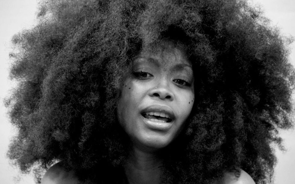 Guess Where Erykah Badu & Her Ancestors Are From?
