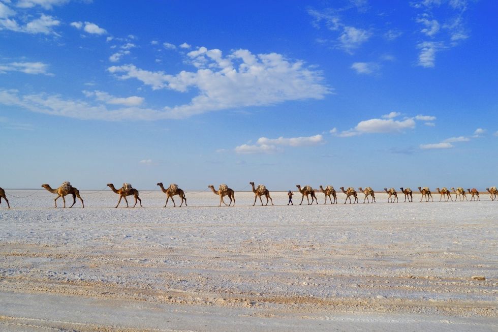 How To Travel Africa As An African