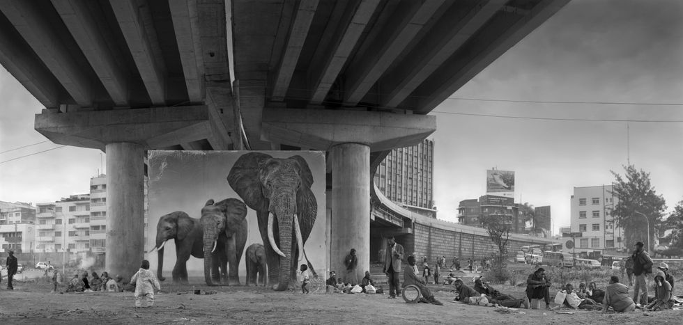 On Malick Sidibé and Nick Brandt: Framing Africa In Contrasting Lenses