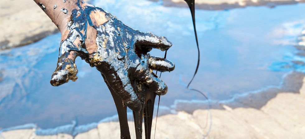 The #OneFarm Campaign Is Dedicated To Restore the Niger Delta as Buhari Announces $1 Billion Clean Up Plan