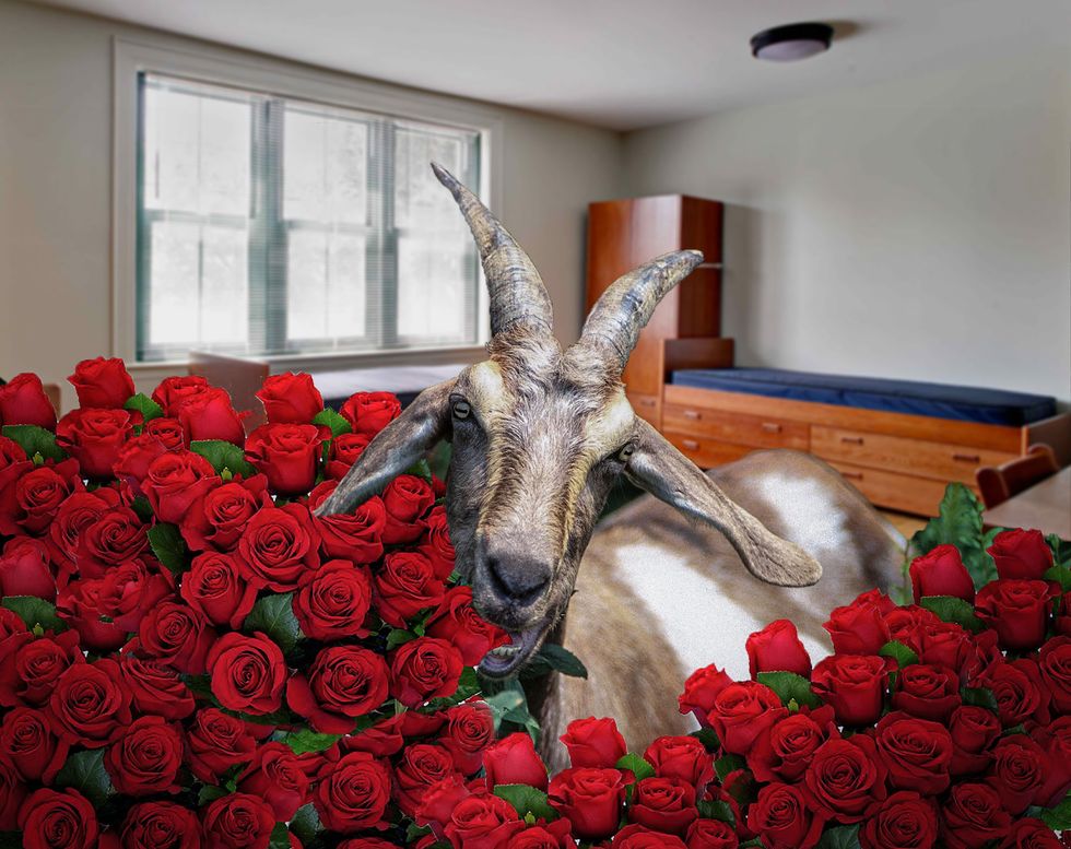 Don’t Give Me Flowers; I Am Not a Goat