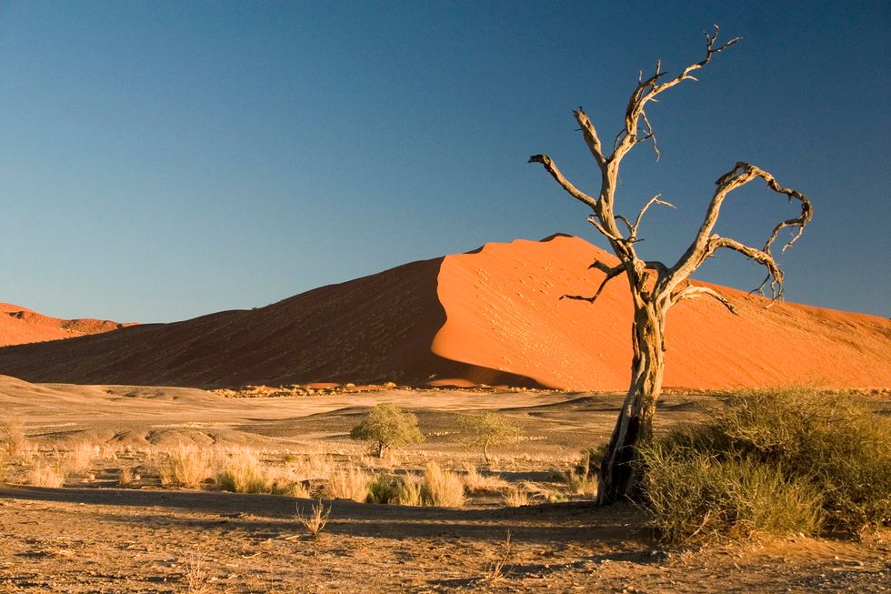 Africa Will Be a Little Too Lit If We Don’t Do Something—a Conversation on Climate Change