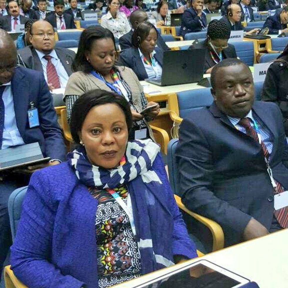 Apologies Are Demanded after Egypt Minister Refers to Sub-Saharan African Delegates as “Dogs and Slaves”