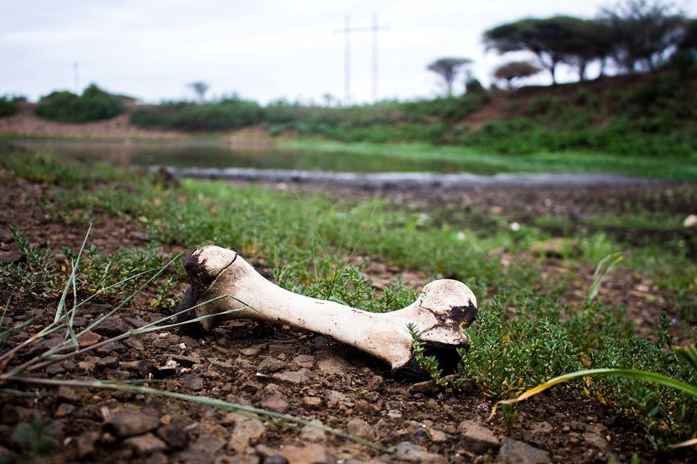 The Stories You Need To Know: Cape Town Dam Levels Rise, Killer Of Somali Minister Gets Death Sentence, And More