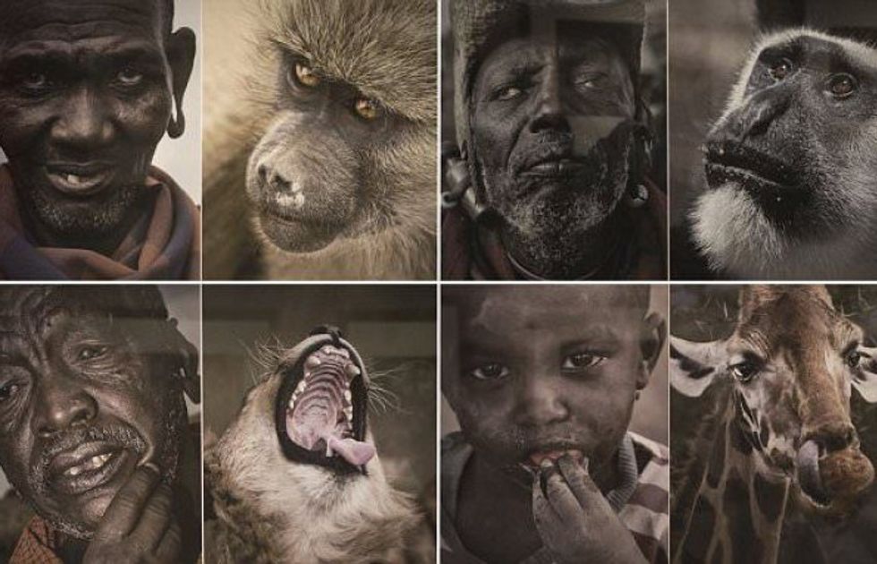A Chinese Museum Was Forced to Pull This Racist Exhibit Comparing Africans to Animals