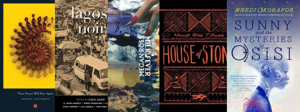 5 Books by African Writers You Need To Read This Summer