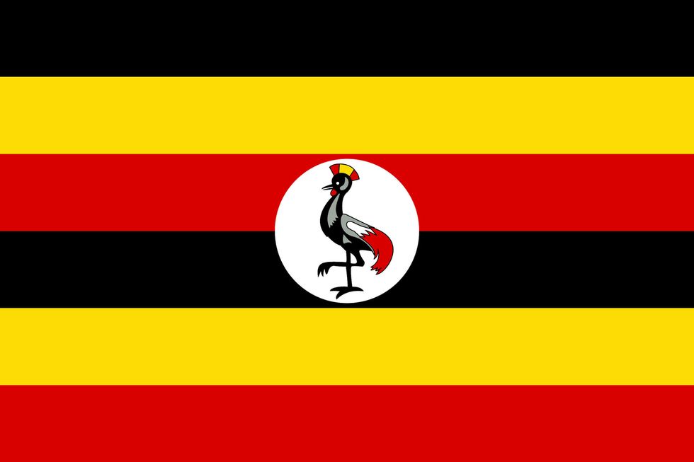 Eddy Kenzo, Femi & Seun Kuti, Bono, Mr Eazi & More Sign Petition Against Uganda's Censorship Law