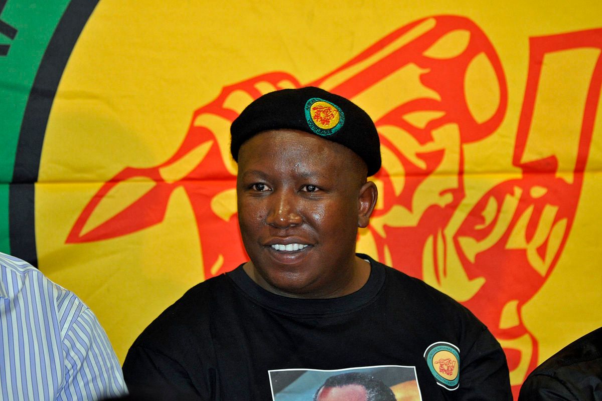 EFF Leader Julius Malema Says His Party Wants a South Africa Without Borders