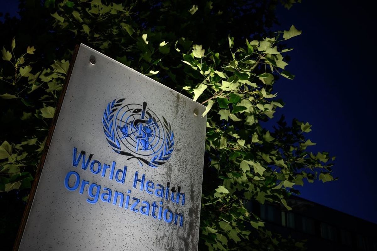 43 World Health Organisation Experts To Land in South Africa as Coronavirus Infection Rates Peak