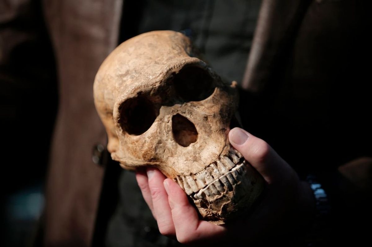 New Research Out of South Africa Brings Us Closer To Understanding Ancient Human Species