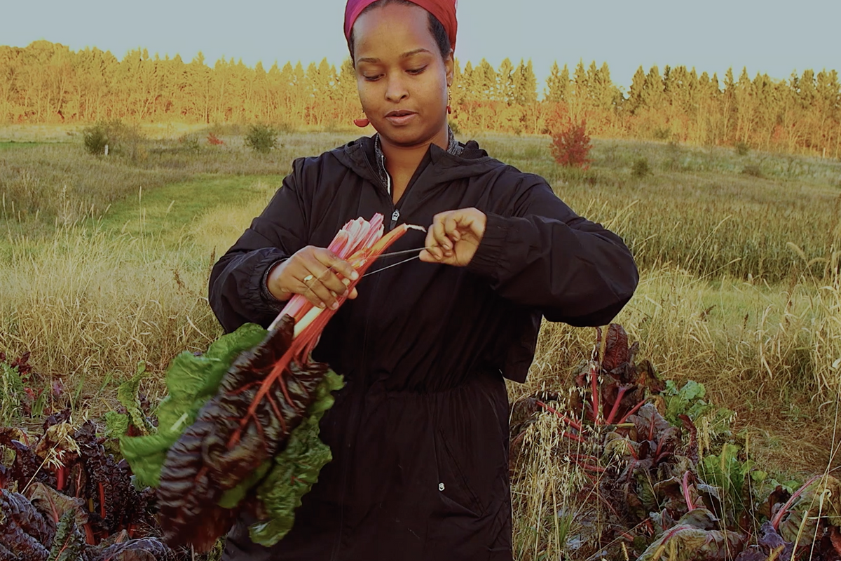 This Somali Farmer Wants To Harvest Her Culture in America's Midwest