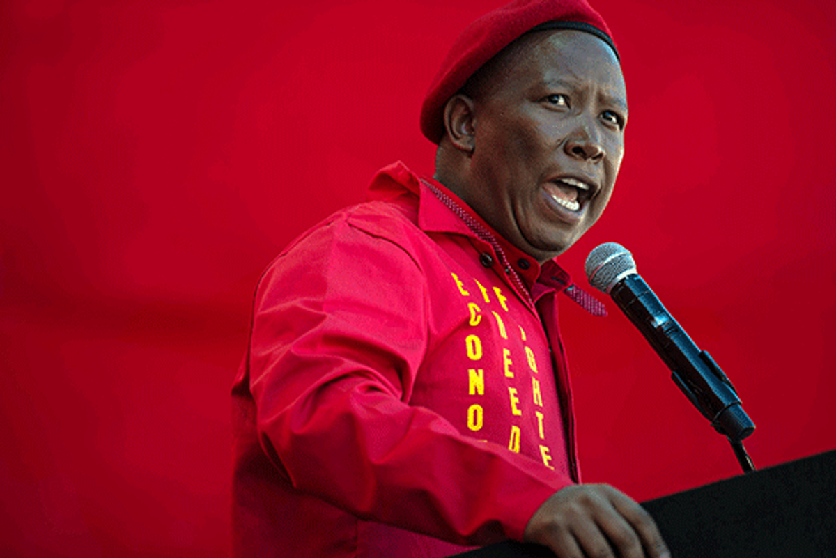 Afriforum is Planning to Prosecute EFF Leader Julius Malema on Charges of Fraud and Corruption