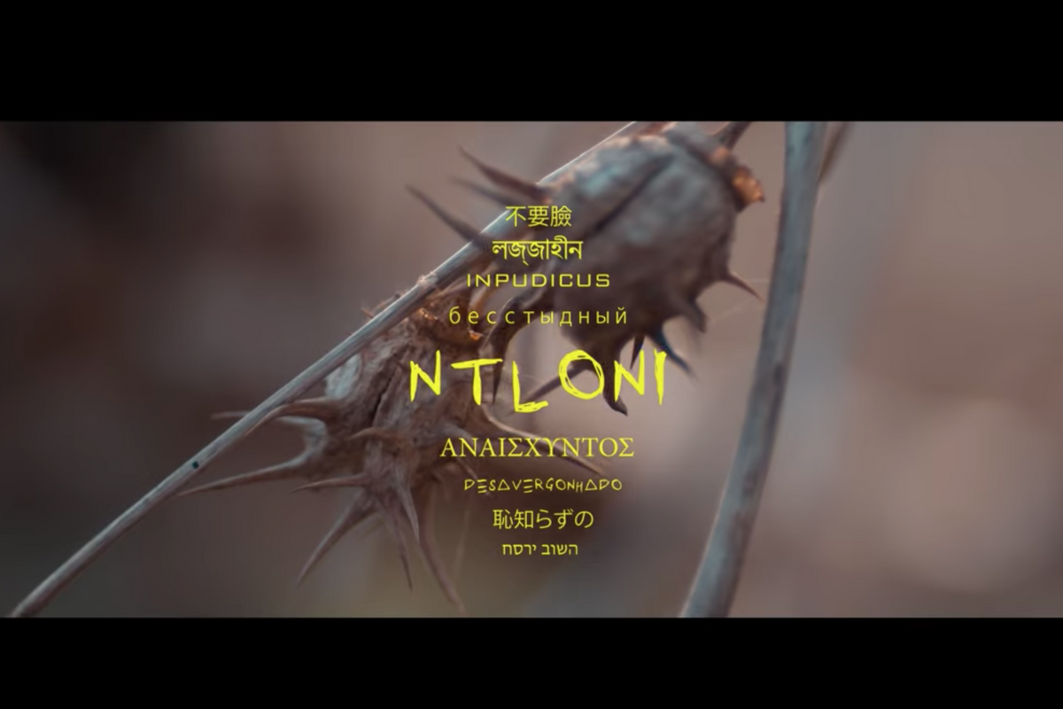Watch Anatii’s New Music Video For ‘Ntloni’