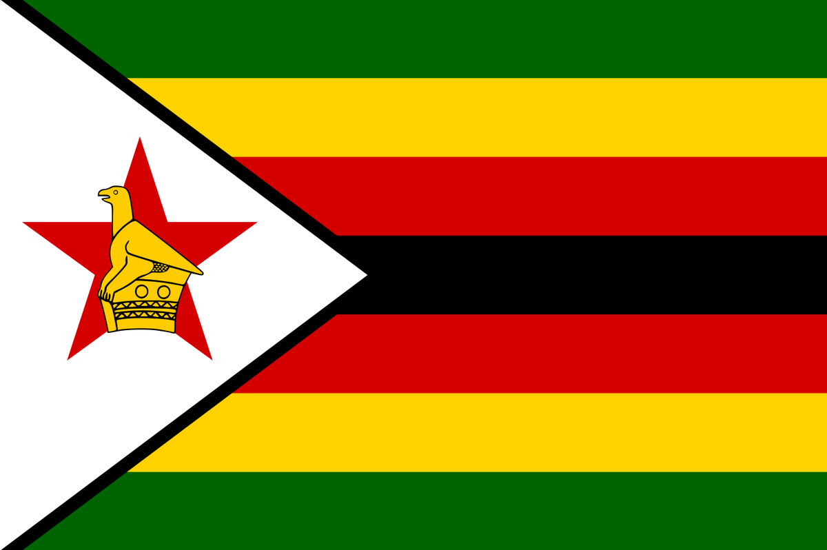 Zimbabwean Students Studying in Russia Continue To Struggle Due to Lack of Promised Support from Their Government