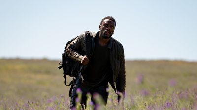 A still from “Heart Of the Hunter" showing a character walking through a field of purple flowers with a backpack. 