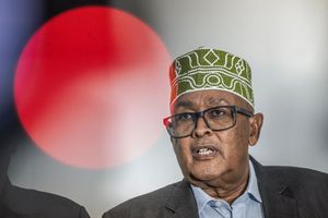Wadani party presidential candidate Abdirahman Mohamed Abdullahi, also known as Irro, speaks during a press conference on November 10, 2024, ahead of the 2024 Somaliland presidential election. 