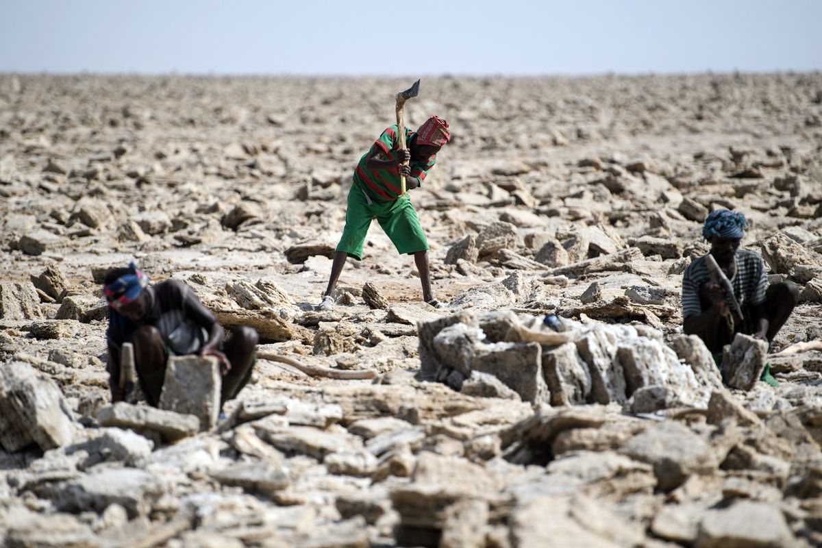 Miners digging out salt blocks by hand in the Danakil Depression on January 22, 2017 in Dallol, Ethiopia. 
