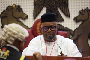 Nigeria's Senate President, Godswill Akpabio, reacts after emerging as the Senate President of the 10th Nigeria National Assembly in Abuja on June 13, 2023.