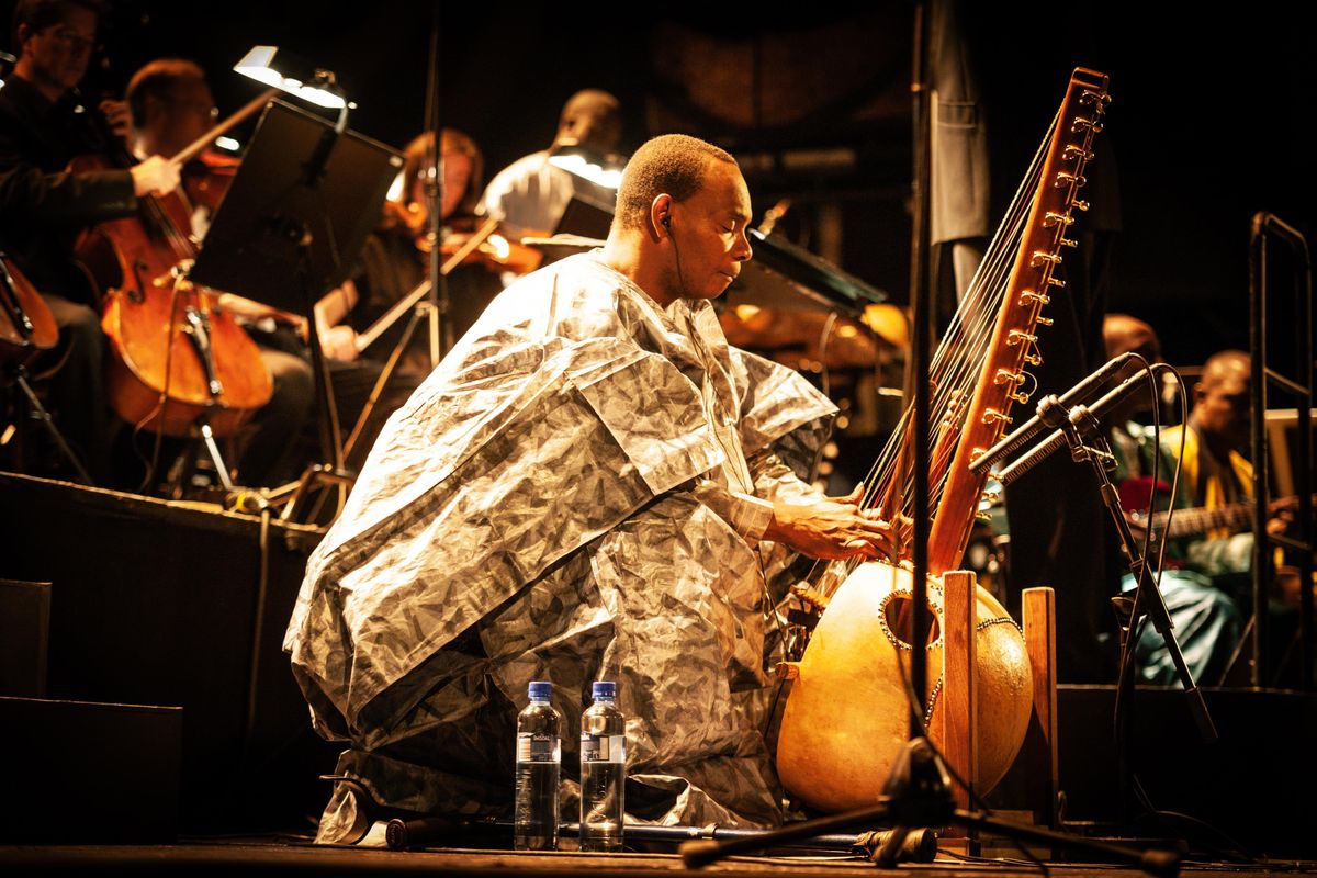 Listen to Toumani Diabaté's Neo-Classical Song 'Mamadou Kanda Keita'