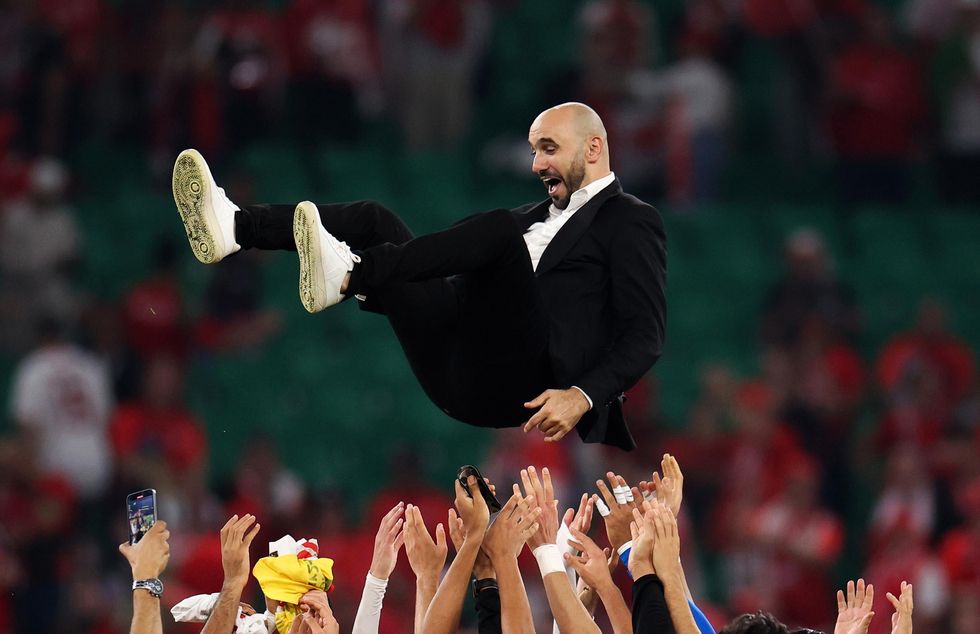Walid Regragui getting thrown in the air